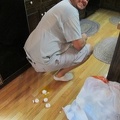 Kris laying an egg.JPG